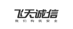 飞天诚信 Logo